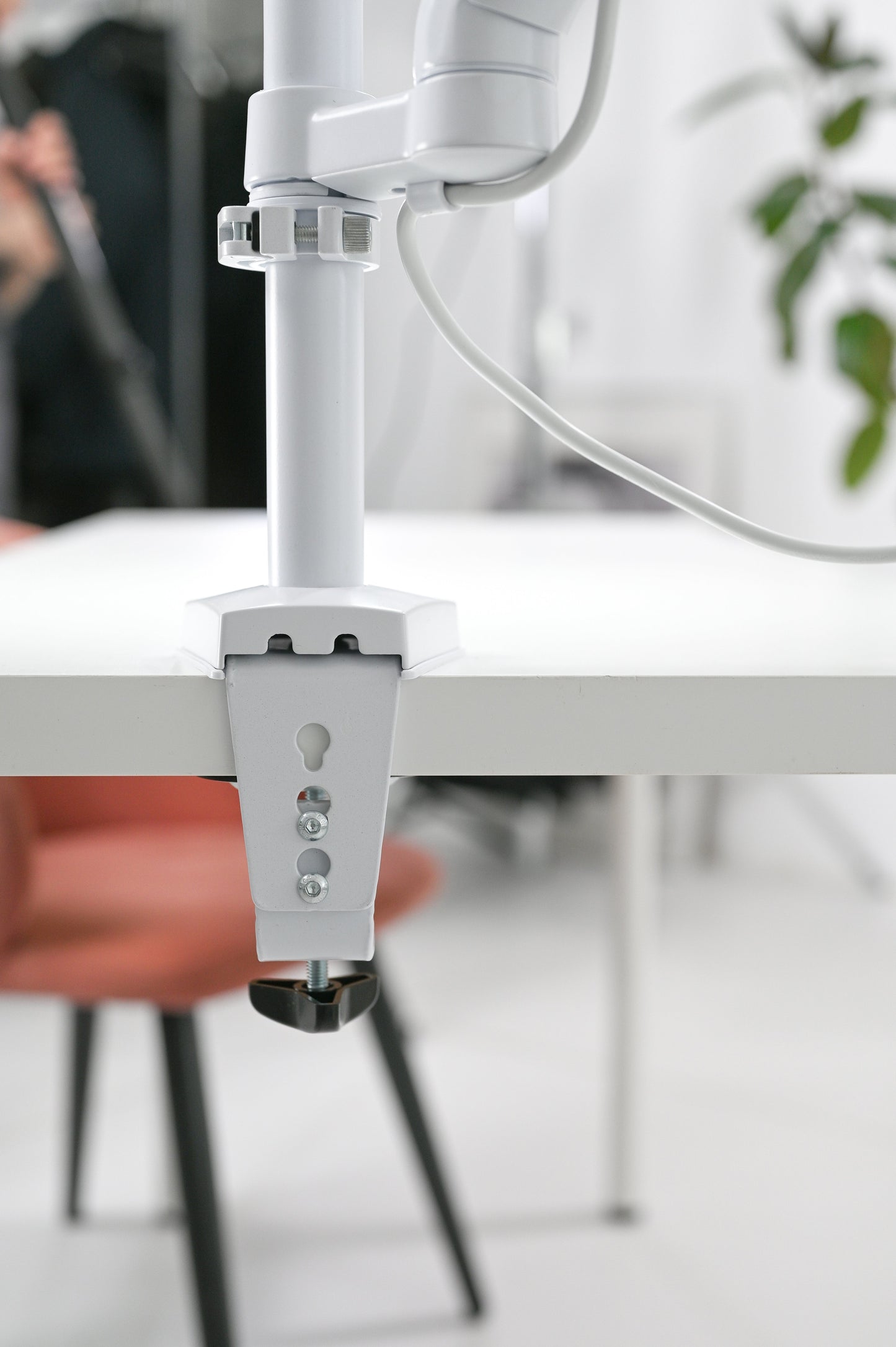 4Blanc Maéstro vifte+lampe